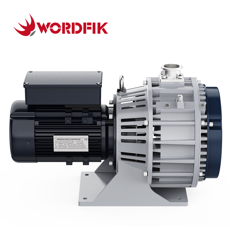 Wordfik PLWX800 12L/S 14.4L/S 1PA مضخة فراغ التمرير لتصنيع أشباه الموصلات