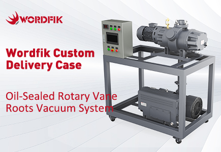 تسليم نظام فراغ جذور دوارة دوارة مختومة بالزيت من Wordfik مخصص