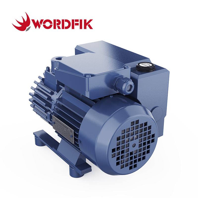 Wordfik PVX16 صغير مضخة فراغ دوارة مزدوجة الزيت 16-19M م/ساعة