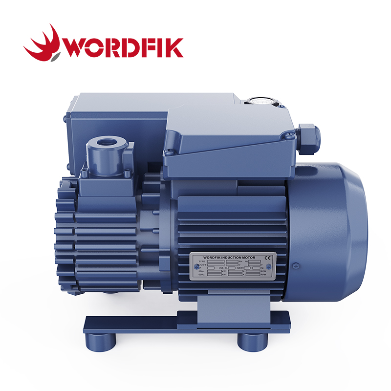 Wordfik PVX16 صغير مضخة فراغ دوارة مزدوجة الزيت 16-19M م/ساعة