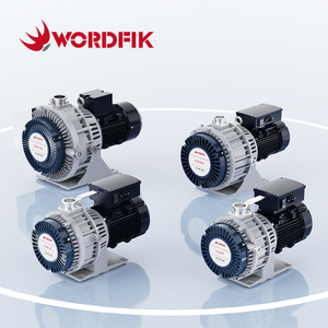 Wordfik Plwx Series مضخات فراغ خالية من الزيت