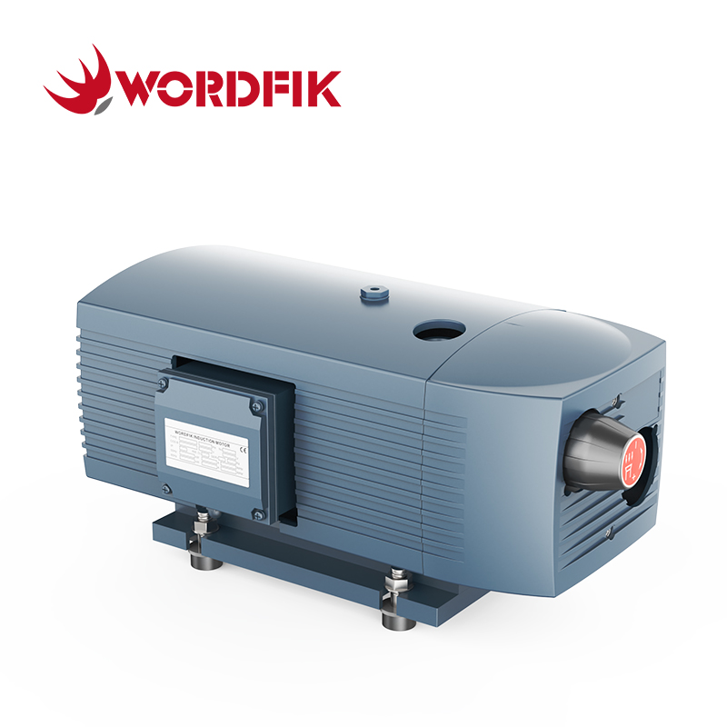 VD10 10M³/H 12M³/H 150MBAR DRONTARY VANE PUMP