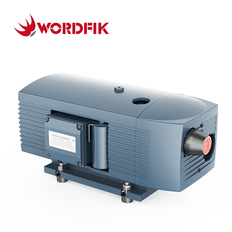 Wordfik VD16 16m³/h 19.2m³/h 150mbar مضخة فراغ دوارة دوارة خالية من الزيت